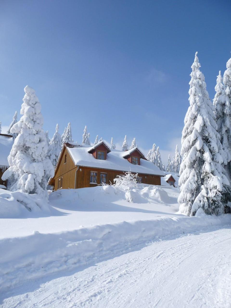 Hotel Und Berggasthof Spiessberghaus Фрідріхрода Екстер'єр фото