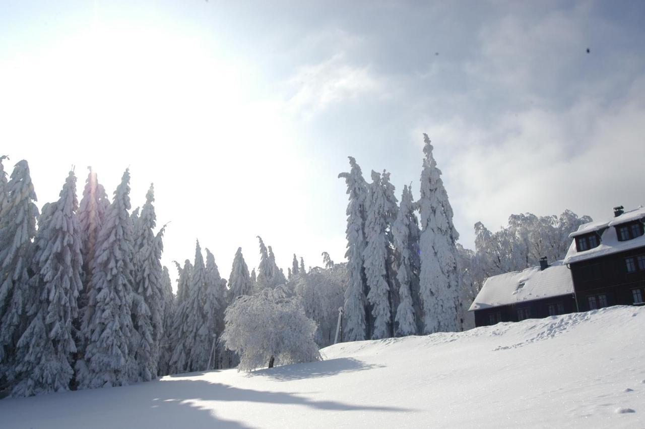 Hotel Und Berggasthof Spiessberghaus Фрідріхрода Екстер'єр фото